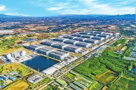 大显身手 正当其时——河南省知名民营企业家话感受、谈信心图片