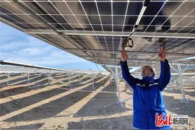 尾矿库种上22万多颗“小太阳”图片