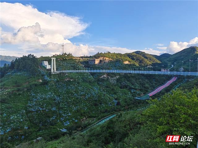 高清湖南丨花海与云海，隆回龙瑶幽谷的双重浪漫