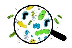 一盘隔夜菜，让她住进ICU！一个小伤口，让他多脏器衰竭！图片