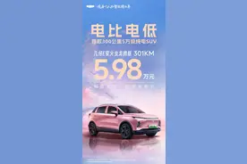 电比电低！几何E萤火虫301KM龙腾版上市 5.98万元图片