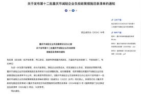 企业福音！重庆发布94条减负政策措施 涉税收、生产要素优惠等图片