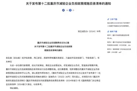 企业福音！重庆发布94条减负政策措施 涉税收、生产要素优惠等图片