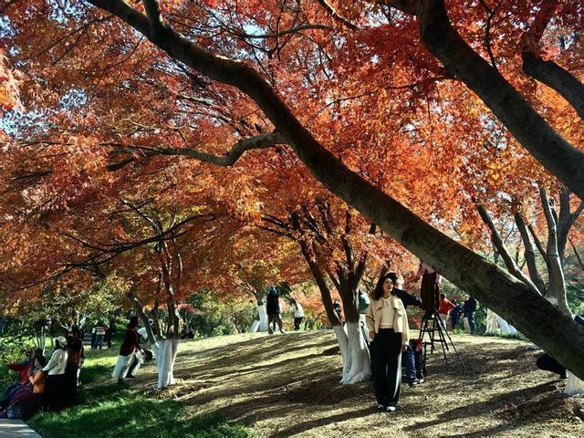 京广高铁畔的青山公园，宛若一幅浓墨重彩油画