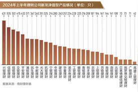 银行理财半年度盘点①丨上半年新发产品同比增3成，信银理财安盈象系列产品募集规模霸榜前三图片