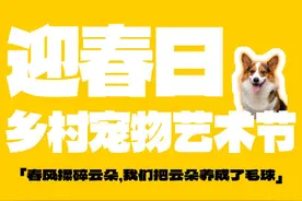 迎春宠物艺术节来了！带宠物闯关赢大奖~图片