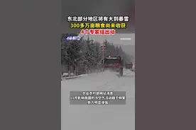 东北部分地区将有大到暴雪，300多万亩粮食尚未收获，4个专家组出动图片