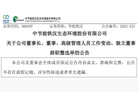 节能铁汉：公司董事长刘家强、董事李冬霞、独立董事邓磊和刘俊国、高级副总裁黄智辞职图片