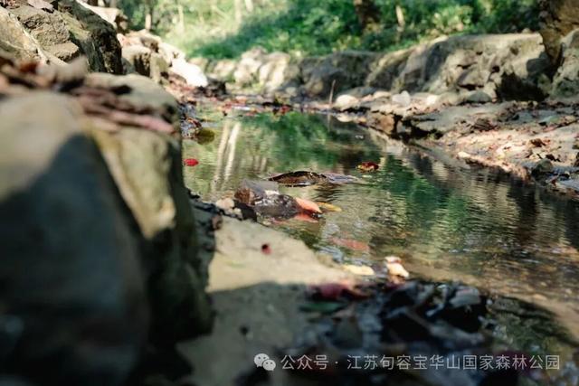 宝华山滑雪场开放时间定了