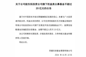最多20亿元，东方财富出手！基金自购频繁出现，释放怎样的市场信号？图片