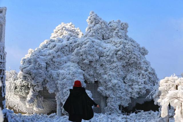 河南文旅雪后盛景：银装素裹绘就“一半仙境，一半人间”画卷