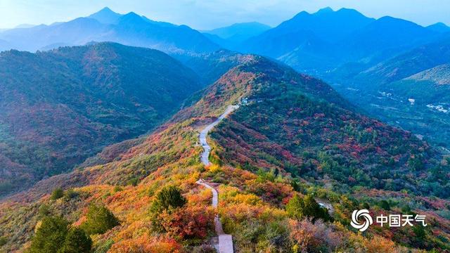 山西平陆秋色绚烂 大地上演斑斓盛宴