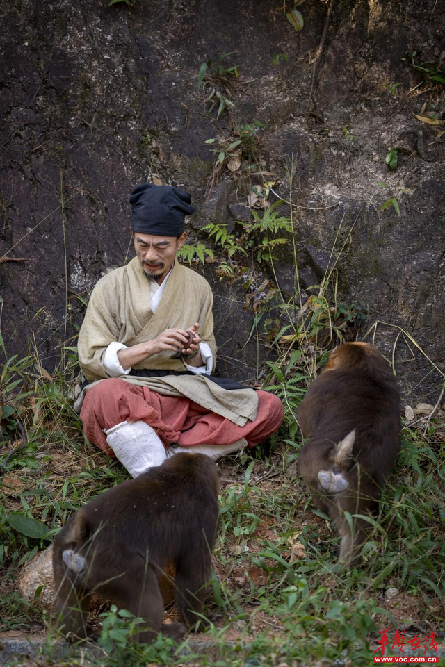 郴游日记新编③|溯溪涧清幽 穿林海千重
