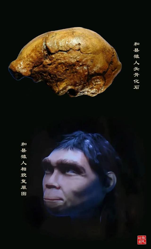 长江入皖八百里：山河是底色，人文是妙笔，生灵是彩蛋