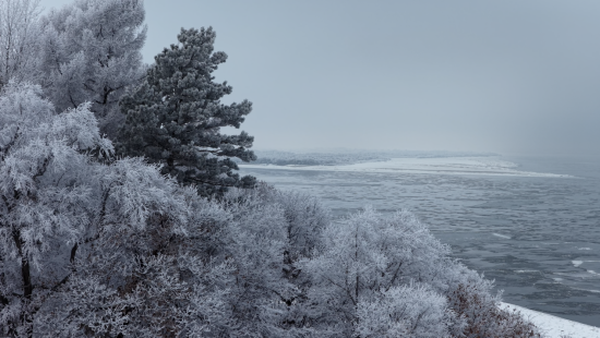 黑龙江抚远：雾凇漫染东极 素韵倾城如画