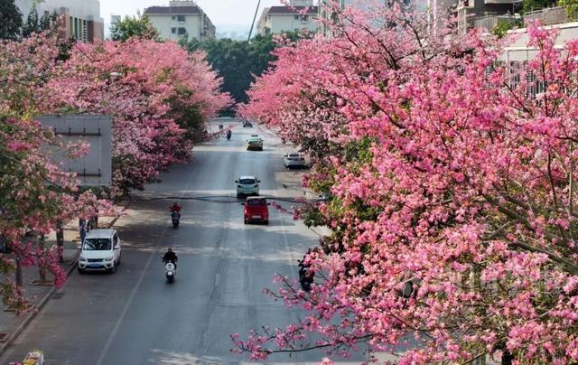 柳州，彩色刷屏！大反转也要来了！
