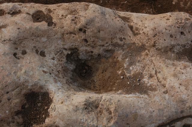 文化遗产耀中原|探访丝绸之路唯一的“道路遗址”