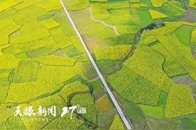 上春山 赏百花｜莫负黔地好光景 春游贵州正当时图片