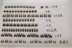 3895家企业！这是平度睫毛“闪耀”全球的底气图片