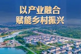 经济发展生动实践 | 以产业融合赋能乡村振兴图片