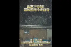 果然视频|聊城迎来今冬首场降雪，雪花漫天飞舞图片
