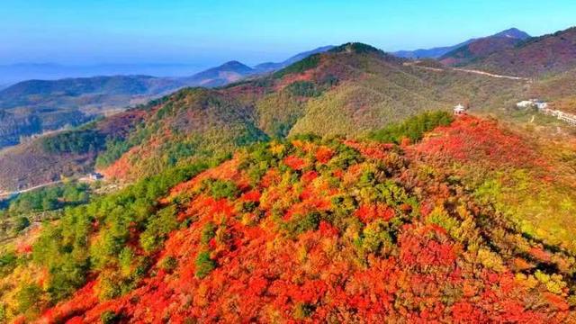 河南日报头版头题报道桐柏县：乡村游风光无限