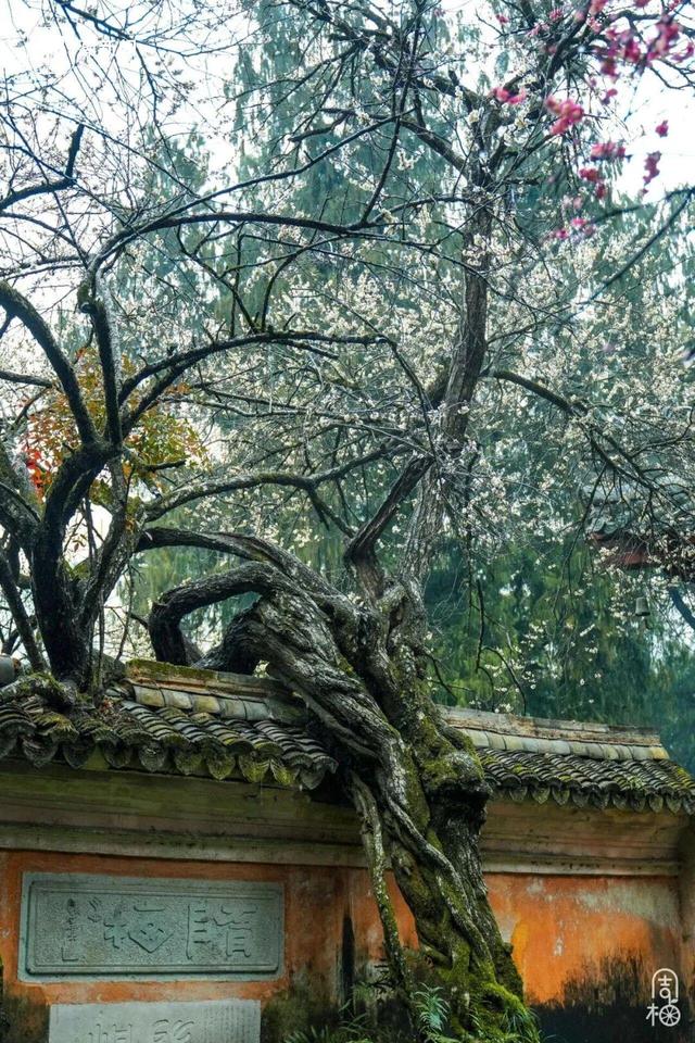 2026，我们与你续写旅途故事