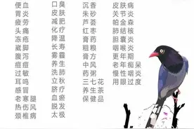 神经康复，这些营养素一定要认得图片