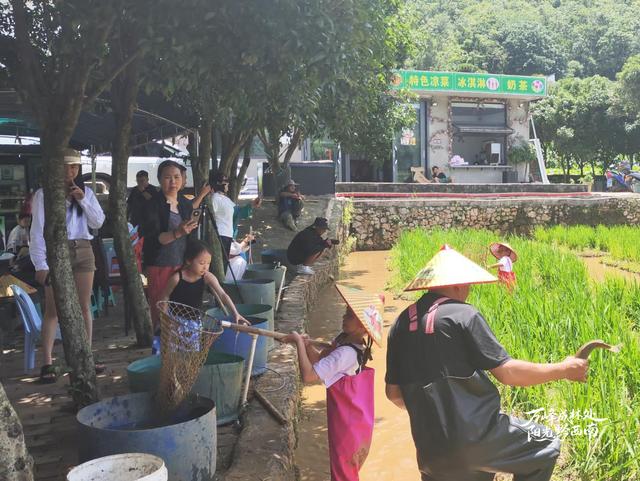 黔西南兴义避暑游火热飙升，多元活动引爆体验热潮