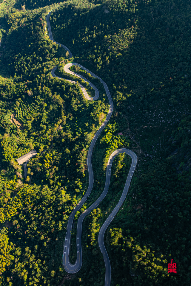 想追风,去团风!