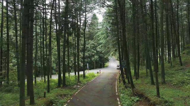 郊游避暑好去处！盘州城郊有两个绿色“后花园”