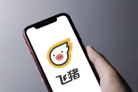 飞猪宣布春运期间升级多项退改及保价服务图片