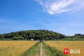 金色麦田弹唱起《风吹麦浪》  ，乡村“田埂音乐会”，看见青春的模样图片