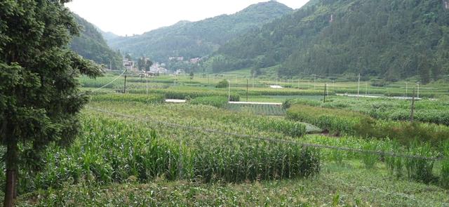盘州大海村：靓丽小山村成避暑旅居新宠