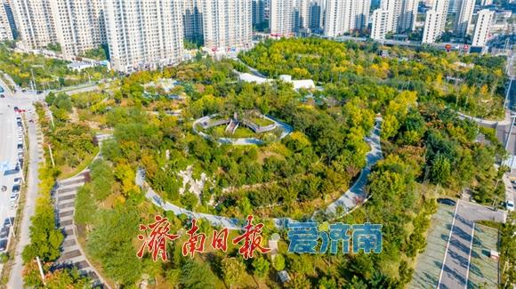 秋色如画正当时 望岳康体公园粉黛花开引客来