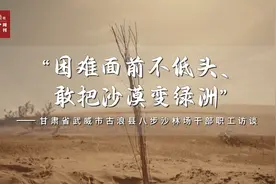 习近平与美丽中国建设丨“困难面前不低头、敢把沙漠变绿洲”图片