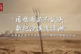 习近平与美丽中国建设丨“困难面前不低头、敢把沙漠变绿洲”图片