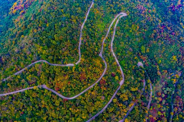 限时免费！江北有7家！