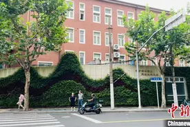 上海“见缝插绿”：立体绿化“+文化”“+艺术”令人心生欢喜图片