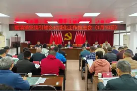 云浮罗定市榃滨镇：以党建引领勾勒绿美乡村靓丽画卷图片