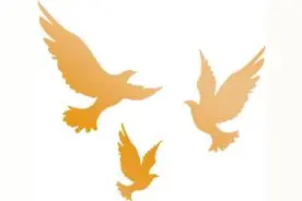 法韵荆楚之沙洋篇：一案执，四案解！图片