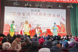 百场百戏惠百姓 天天有戏迎新年图片