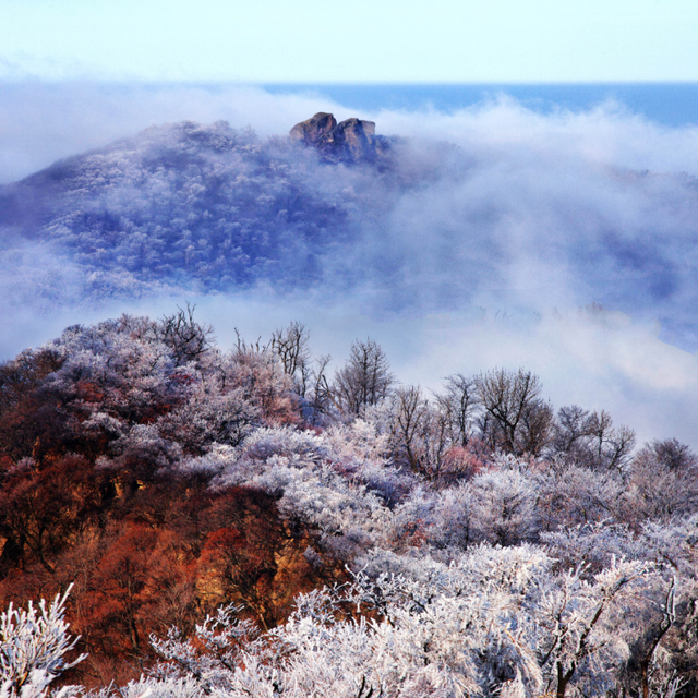错过等一年！这个冬天，来辽宁“出溜”一圈！