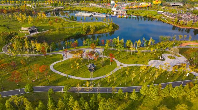 镜鉴｜定格美丽重庆：湿地公园 秋色宜人