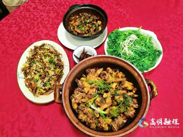 出发！跟着稻马去高明旅行！