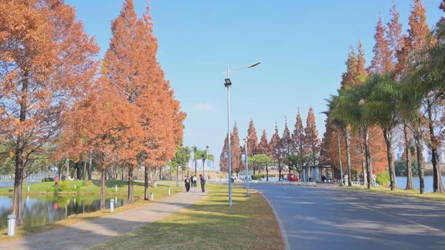 民宿满房！弥勒避寒游持续升温～