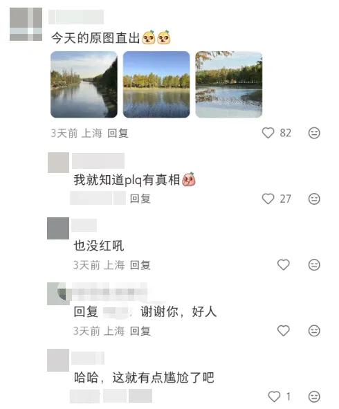 上海有个超美的新公园,未开先火!有人偷偷爬进去、溜进去、翻进去……太危险!