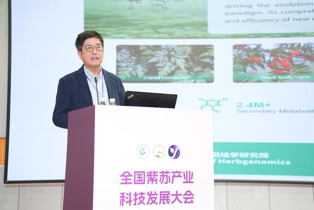 紫苏有了科创全国性平台！全国紫苏产业科技发展大会在穗召开