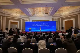 新疆（新和）水晶钻饰全产业链专场推介会成功举办图片