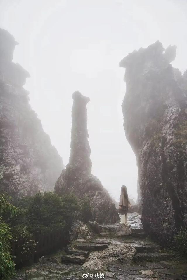 在雨中的神农架，遇见云山雾海、迷雾森林